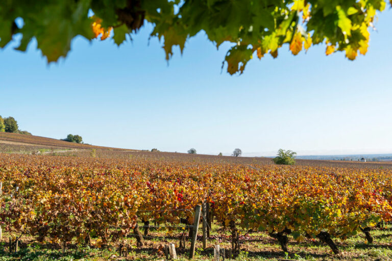 vacances-chablis